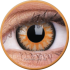 ColourVue Colour Contact Lens - Glamour Honey
