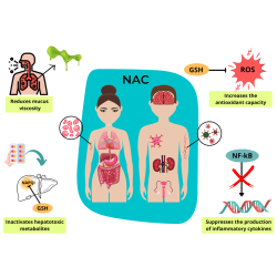 NAC N-Acetyl L-Cysteine 600mg 60 Capsules