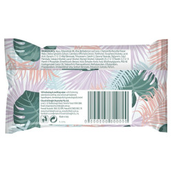 Femfresh Pocket Wipes 10PK