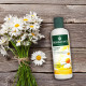 Herbatint Chamomile Shampoo 260ml