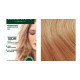 Herbatint 10DR Light Copperish Gold Permanent Haircolour Gel 170ml