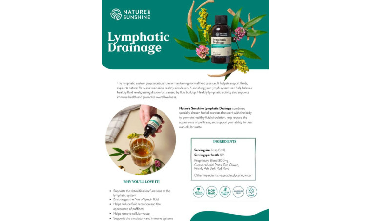 Lymphatic Support: Understanding the Lymphatic System and Everyday Wellness