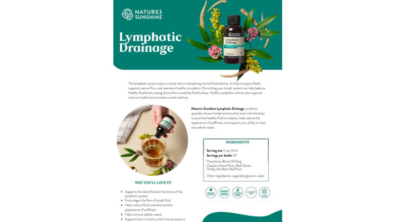 Lymphatic Support: Understanding the Lymphatic System and Everyday Wellness