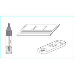 Prima Home Test Bowel FOB Test