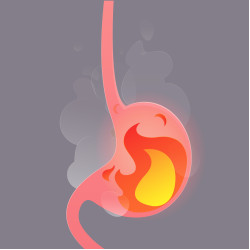 Sanderson Digestive Enzyme Formula 60 Tablets