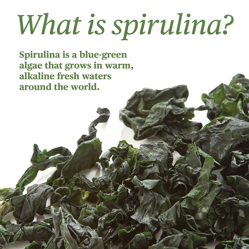 Sanderson Hawaiian Spirulina 1000mg 90 Tablets - Birkenhead ...