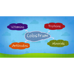 Sanderson Superior Enriched Colostrum 120 Capsules