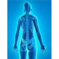 Sanderson Ultra Joint FX 150 Tablets